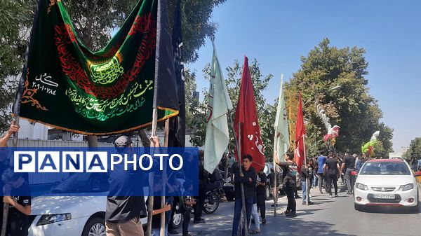 جاماندگان اربعین حسینی در مسیر حرم مطهر امام مهربانی