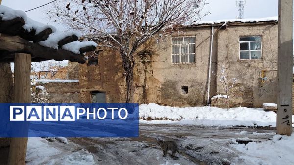 بارش اولین برف پاییزی در روستای نورآباد شازند