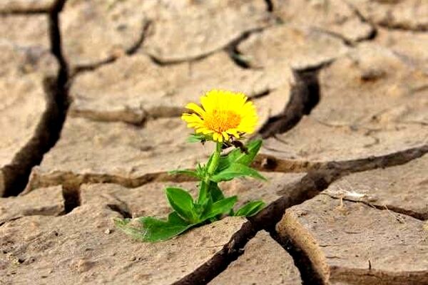 تاب‌آوری در دل پیوندها؛ چرا در میانه بحران به هم نیازمندیم؟