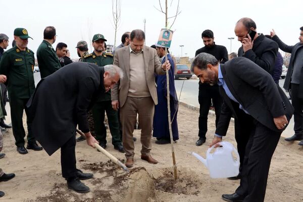 کاشت درخت به یاد شهدا در محمدشهر 