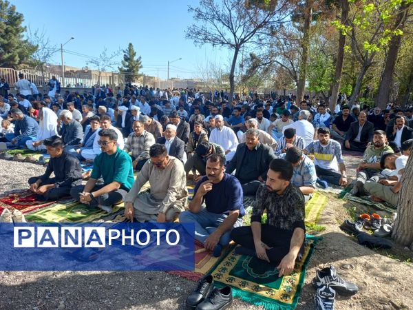 اقامه نماز عید فطر با حضور گسترده مردم اهل سنت تربت جام