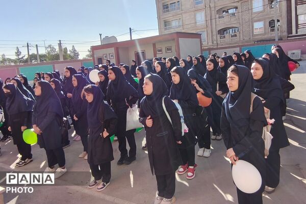 جوانه‌های تازه در سیدرضی موسوی