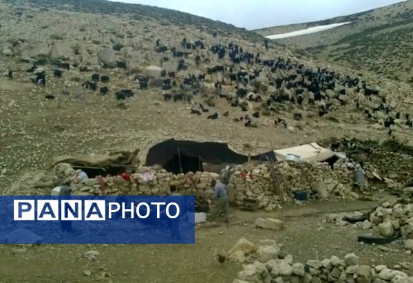  سرزمین عشق در دل سختی‌ها