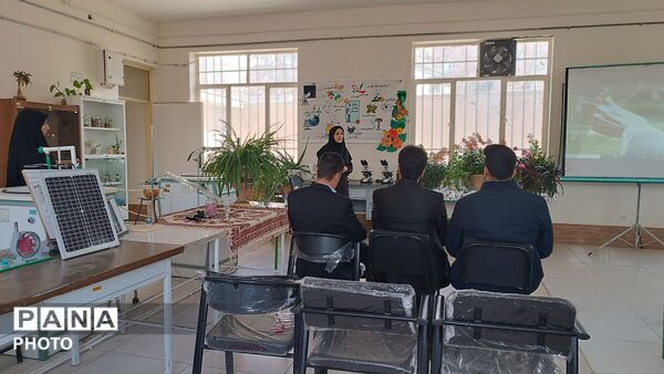 پویش «به یاد سرو، به نام ایران» 