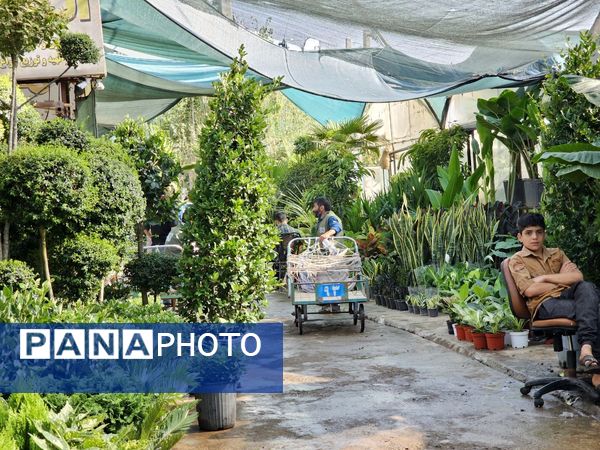 حال و هوای خاص در بازار گل محلاتی