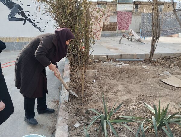 کاشت درخت در هنرستان بصیرت آشخانه