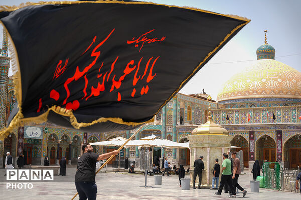 حضور دسته‌جات عزاداری سالروز شهادت امام حسن مجتبی(ع) در حرم حضرت معصومه(س)