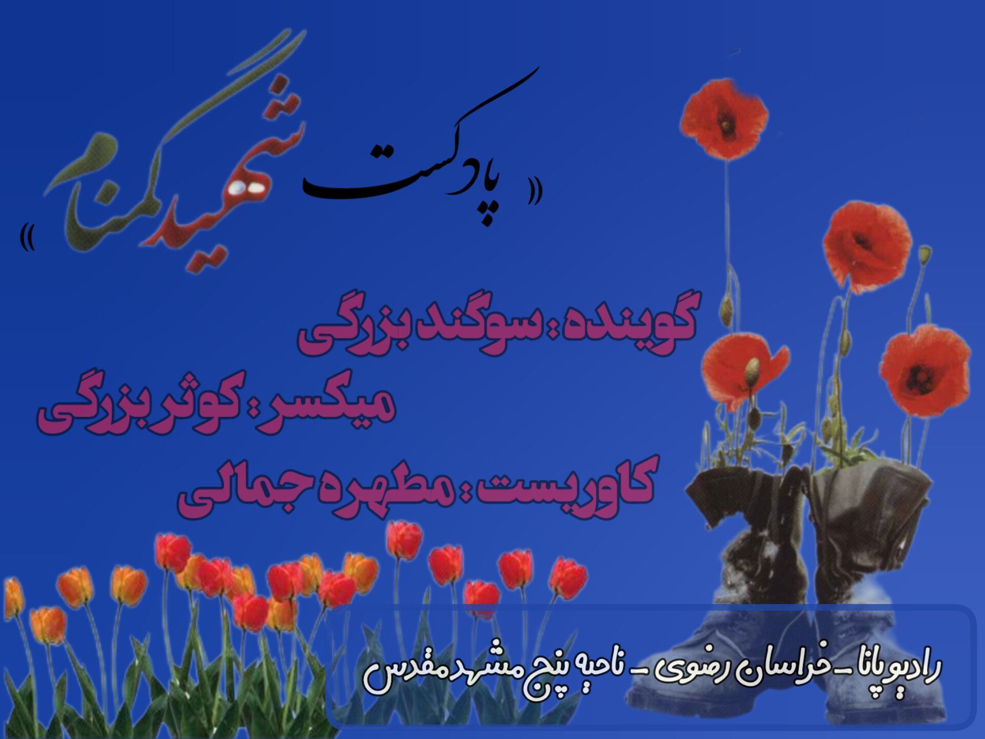 کتاب صوتی شهید گمنام