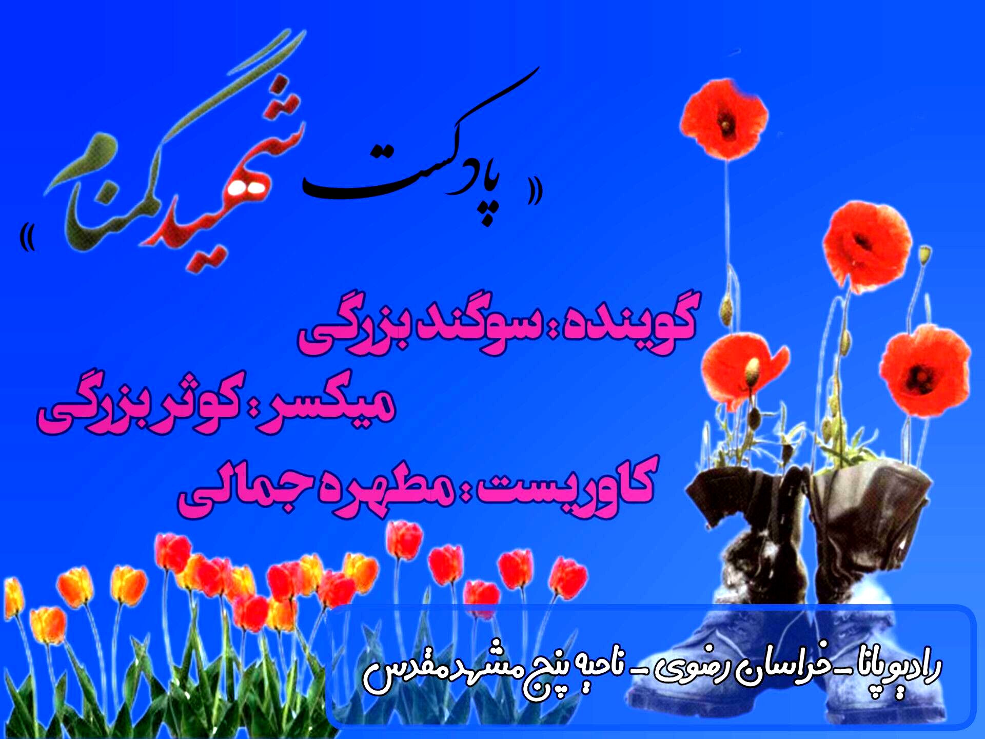 کتاب صوتی شهید گمنام