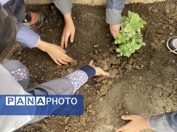 دانش‌آموزان و مسئولین شهرستان ملارد، در روز درختکاری جوانه‌های امید را به زمین هدیه دادند