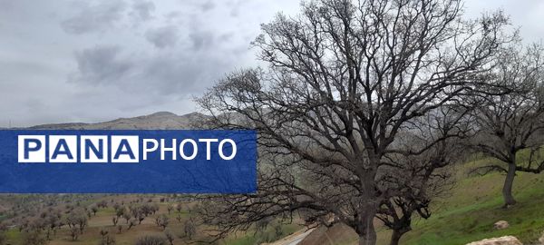 هنر در طبیعت نهفته است