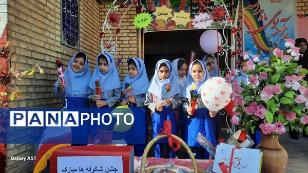 مراسم جشن شکوفه‌ها در شهرستان دهلران 