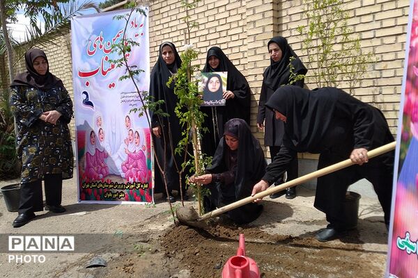 کاشت نهال به یاد یاسمن‌های میناب و شهیده دانش‌آموز نازنین زهرا سیفی 