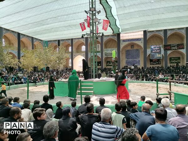میدان توت اردکان، میزبان عزاداران امام حسن مجتبی(ع) از سراسر یزد