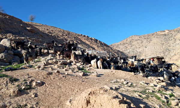 طبیعت بکر رفن در قاب‌ پانا