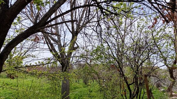 سیزده بدر باستانی در روستای زیارتی و سیاحتی سوقند 