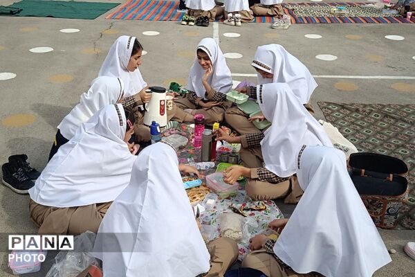  صبحانه سلامت در روز جهانی تخم مرغ