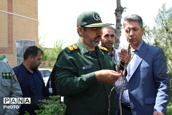 نهال کاری در فاروج به یاد دانش‌آموزان میناب 