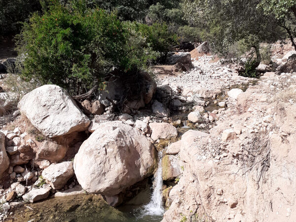 طبیعت بسیار خاص منطقه زیودار شهرستان معمولان