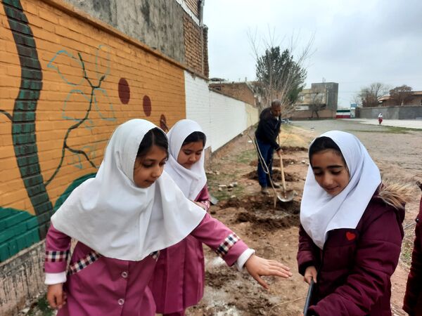 مراسم کاشت نهال در دبستان سید قطب رادکان 