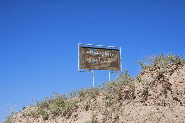 شیوع بیماری زنگ زرد در مزارع گندم و جو در روستاهای دهستان سنگر شهرستان فاروج
