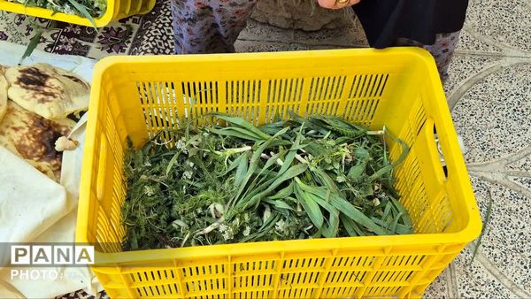  اولین جشنواره محصولات خانگی روستای سپیداران  ساوجبلاغ 