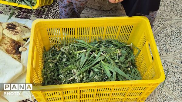  اولین جشنواره محصولات خانگی روستای سپیداران  ساوجبلاغ 