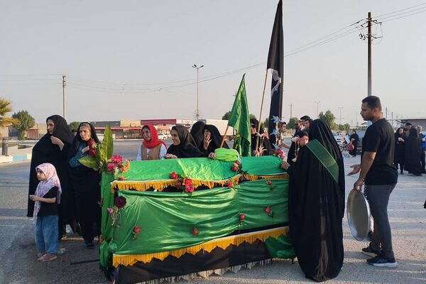 پیاده‌روی امام رضا (ع) در سعدآباد
