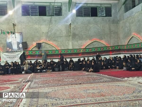 سوگواری عزاداران حسینی در نیر