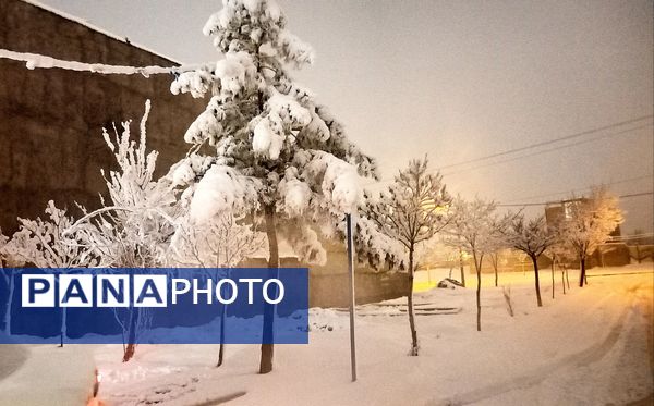 انعکاس دوباره ی رحمت اینبار بارنگ سپید