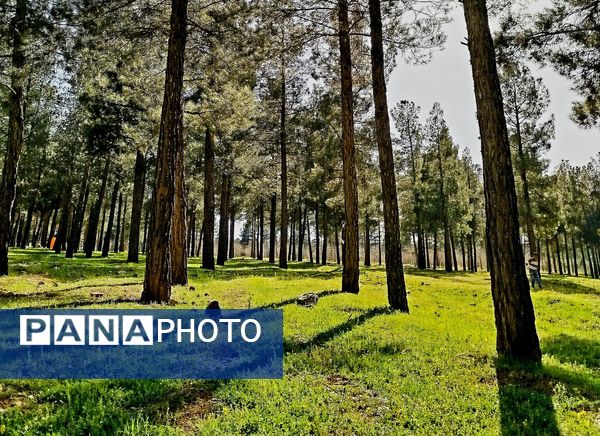 زیبایی های طبیعی شهرستان پاوه به روایت تصویر