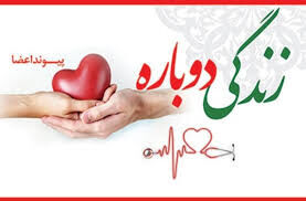 اهدای عضو نهمین ایثارگر از استان اردبیل در سال ۱۴۰۴ 