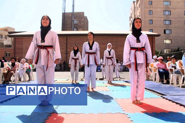 کلید خوردن طرح ملی «میدان پویا» در بهارستان‌دو