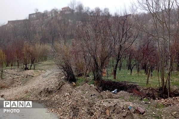  بارش باران در شهر بار 