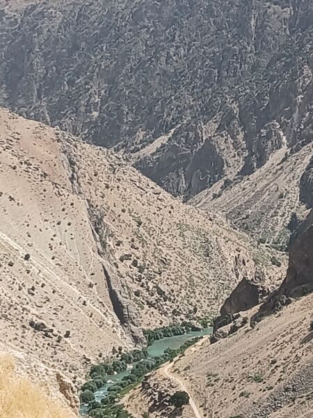 جاذبه‌های گردشگری روستای دوازده‌ امام 