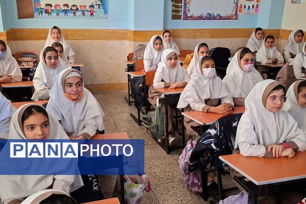 پویش کیف سبک-ذهن پربار