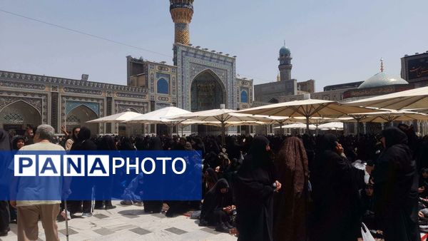 مشهد بوی کربلا گرفت