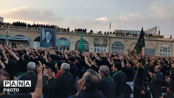 آیین دیرینه نخل برداری آخر ماه صفر در شهرستان تفت