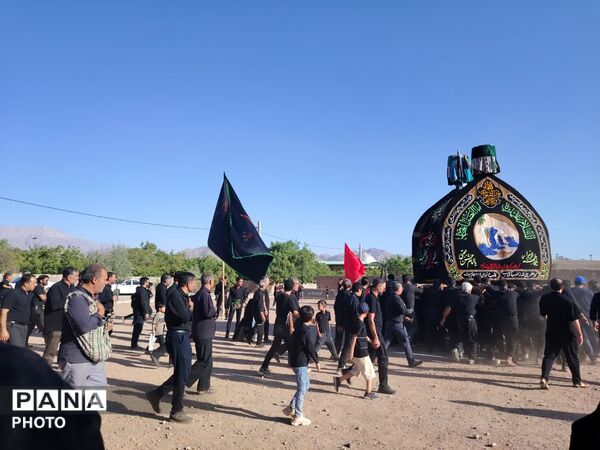 نخل‌برداری روز عاشورا در روستای صالح آباد شهرستان تفت