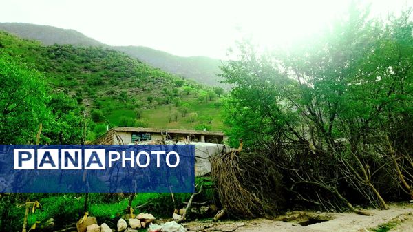 هنر در طبیعت نهفته است