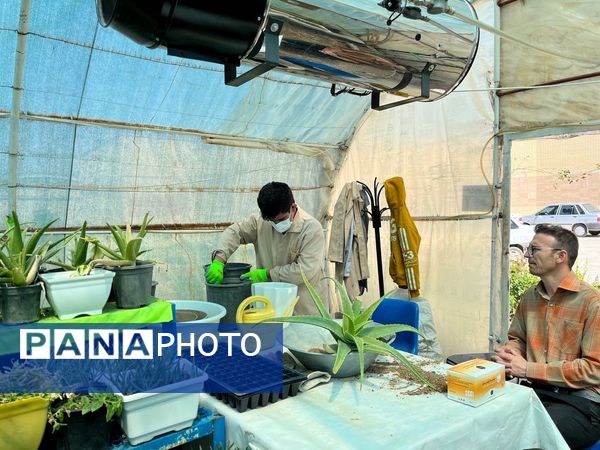 مرحله استانی مسابقات مهارتی 