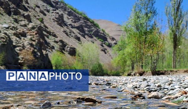 فصل بهار، فرصتی برای سر زندگی روح