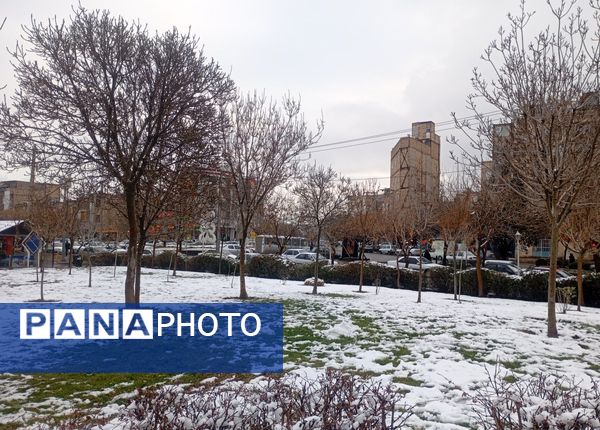 بارش برف در شهر زیبای مشهد 
