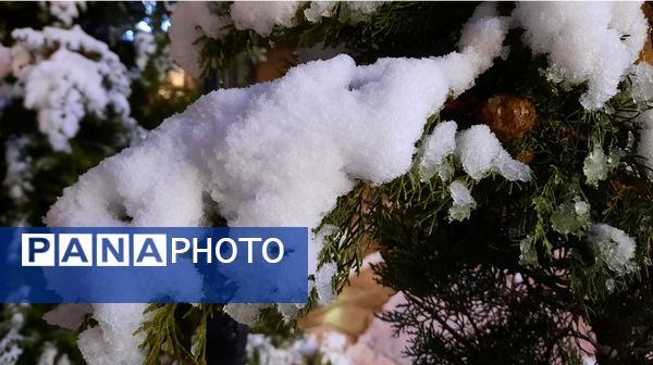 بارش برف در نقاط مختلف شهر مشهد مقدس