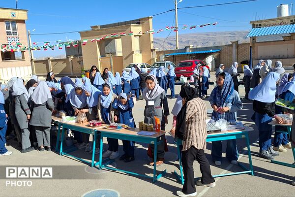 بازارچه دانش‌آموزی در دبستان ظریف کار فرد 2 شیراز