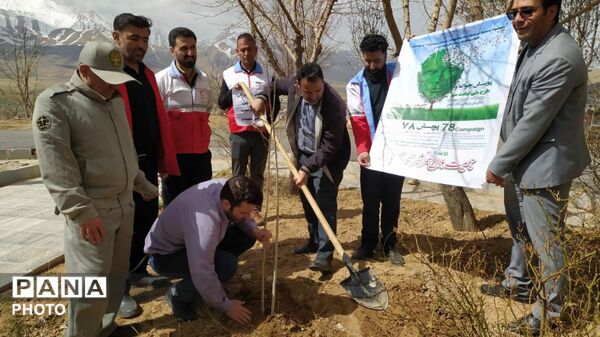 هفته درختکاری در کیار