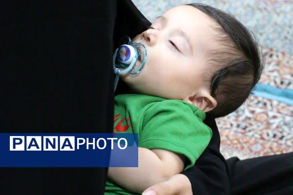 مراسم شیرخوارگان حسینی در منطقه پردیس 