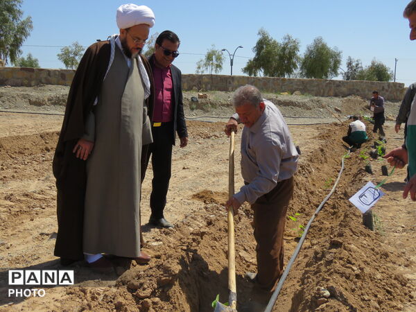 آیین "درخت سرو ایران" در شهرستان خلیل آباد 