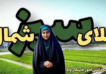 طلای سبز، روایتی که از دل خاک می‌آید