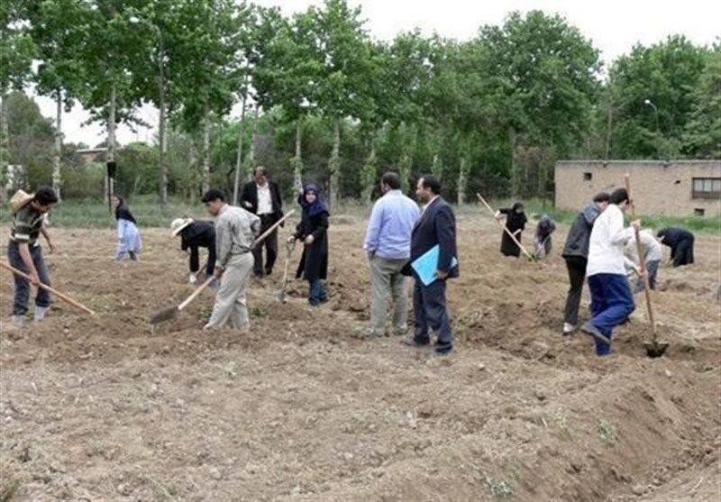 فارغ‌التحصیلان هنرستان‌های کشاورزی را تبدیل به مدیرانی خوب برای مزارع کنیم